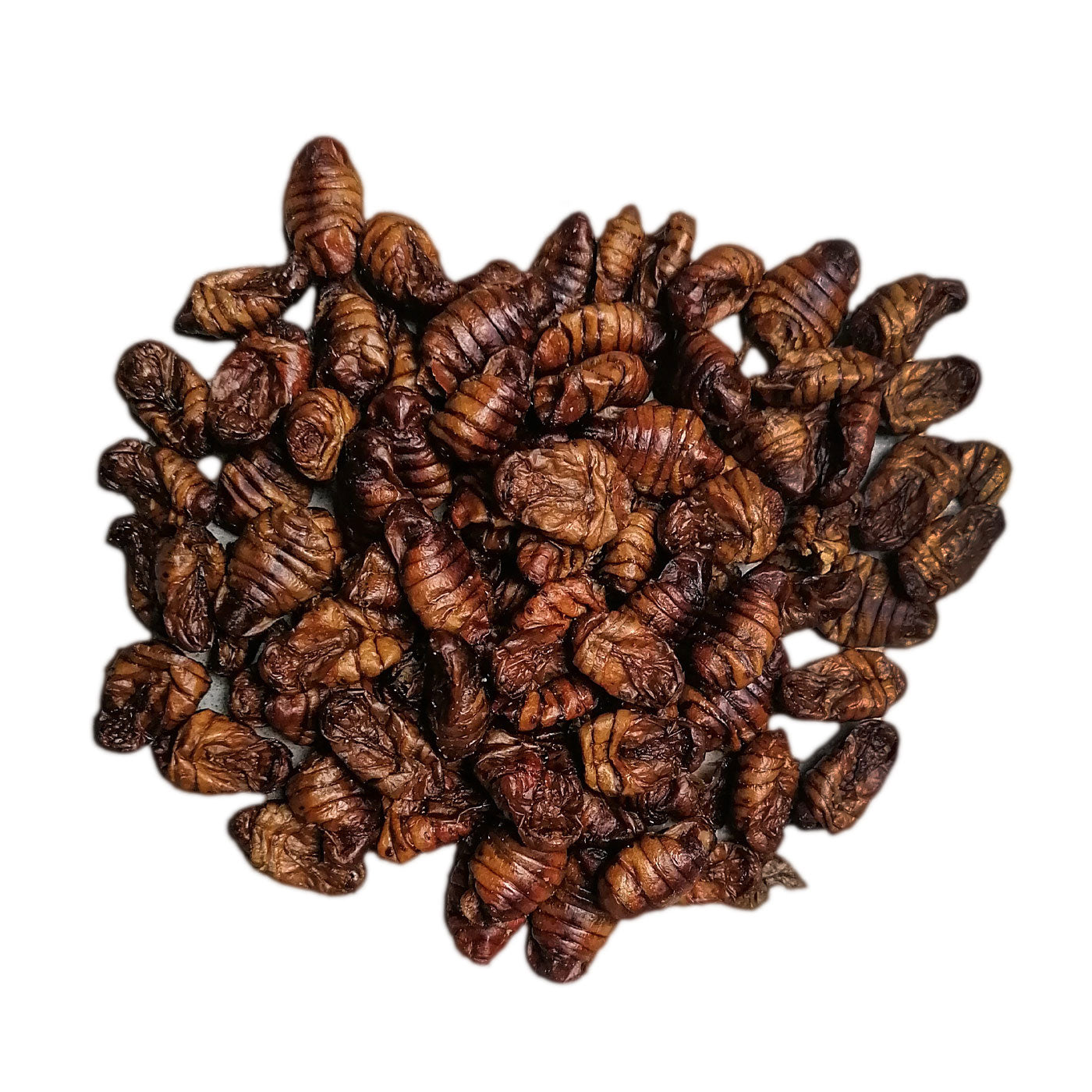 Seidenraupen als Snack für KOI  500 g