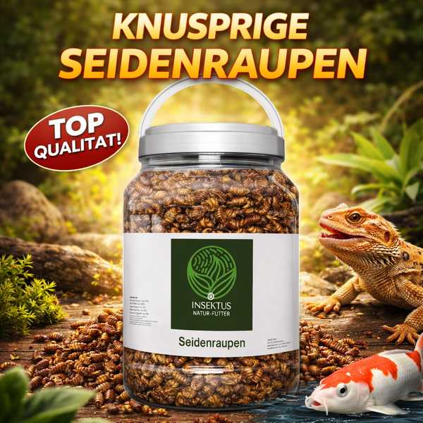 Insektus® Seidenraupen im Vorratsbehälter 1,5 kg