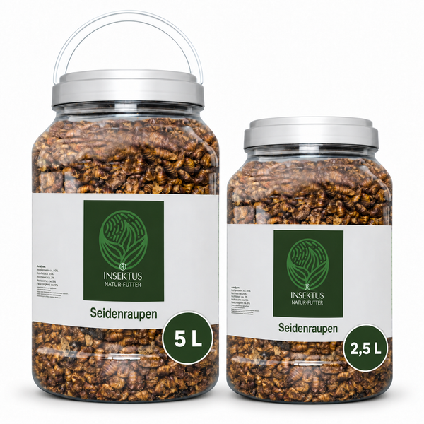 Insektus® getrocknete Seidenraupen im Vorratsbehälter