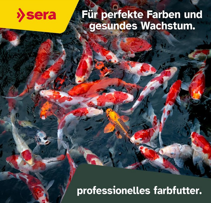 sera  KOI Professional Color für Farbe und Wachstum