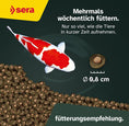 Bild in Galerie-Betrachter laden, sera KOI Professional Color 8 mm

