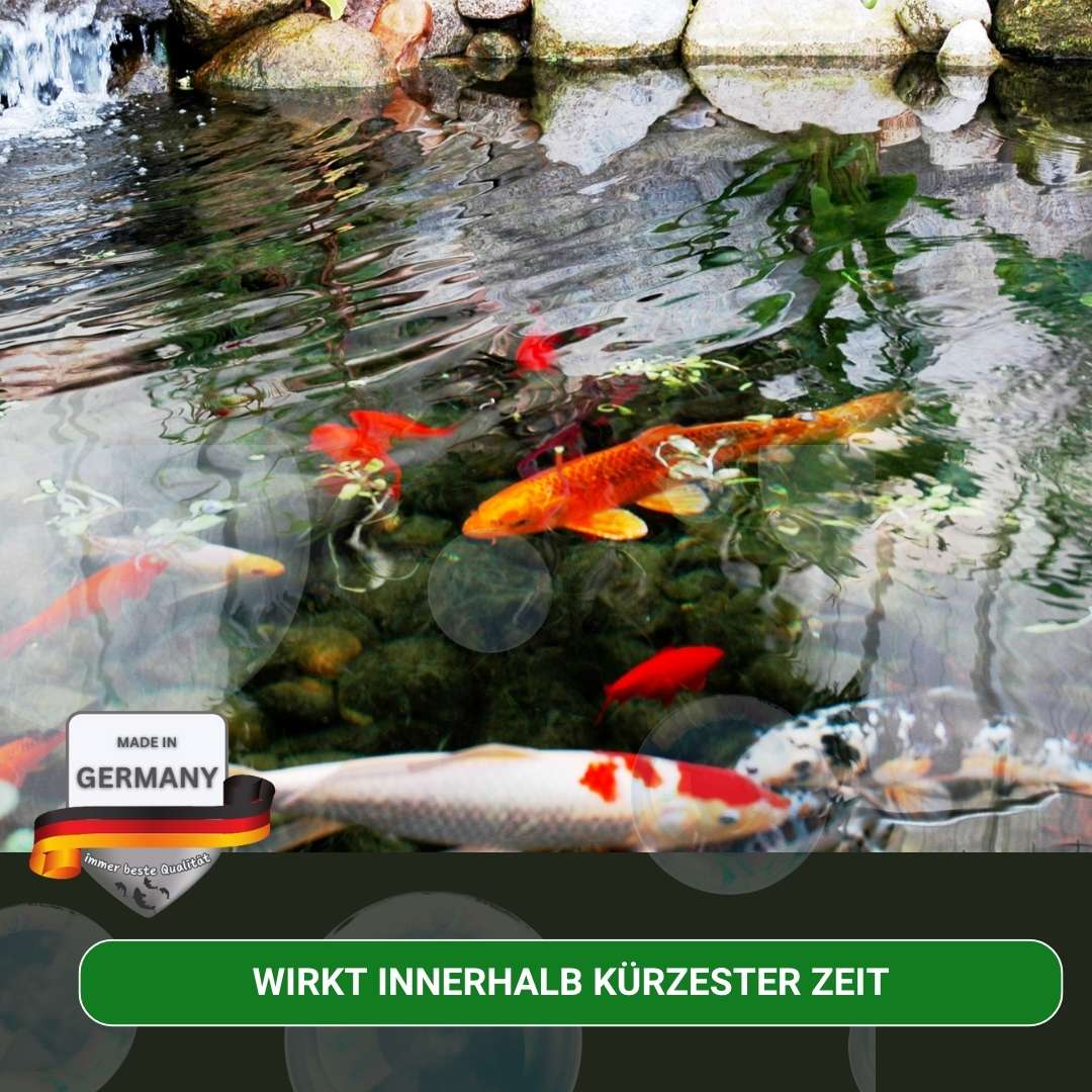 Ammonium und Nitrit Minus wirkt innerhalb weniger Stunden